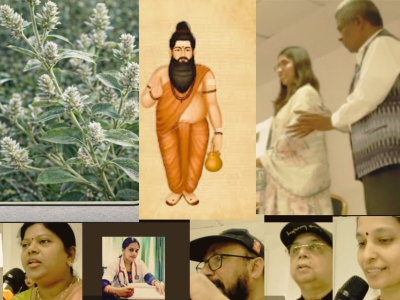Siddha for Global Health__03-01-2026__2